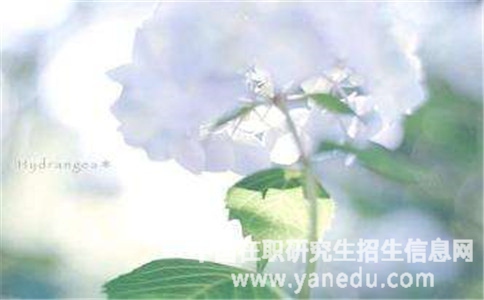 报考山西师范大学在职硕士有哪些招生专业？