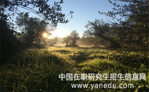 南京财经大学在职研究生报考条件是什么？