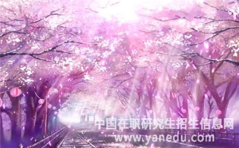 双证在职研究生报考条件要求严格吗