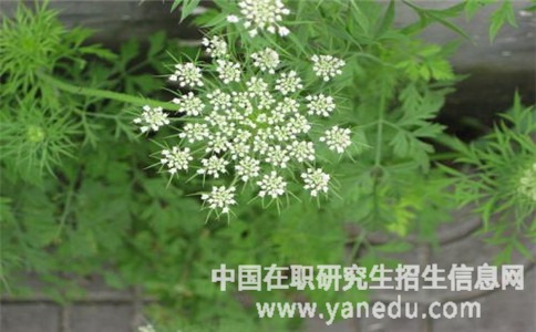 天津师范大学在职研究生含金量高吗？