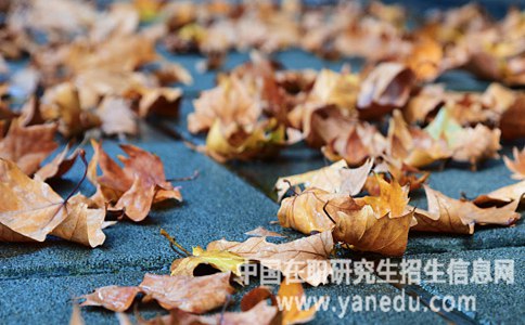 中南大学在职研究生招生条件有哪些？