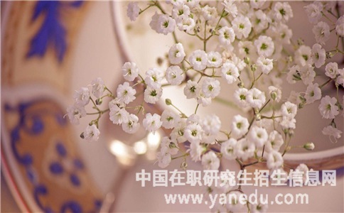 什么样的人才符合双证在职研究生报考条件