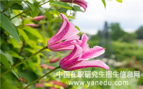 南京师范大学在职研究生有入学考试吗？