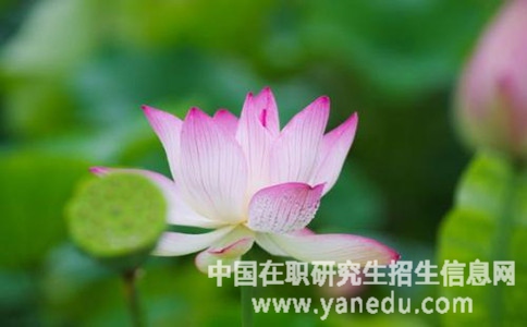 报读天津师范大学在职研究生的条件是什么？