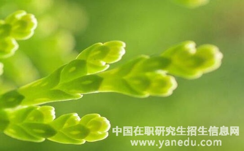 安徽师范大学在职研究生学习年限为几年？