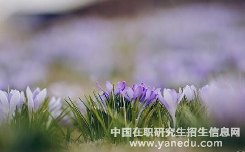 2018年上海交通大学在职研究生报名条件是什么？