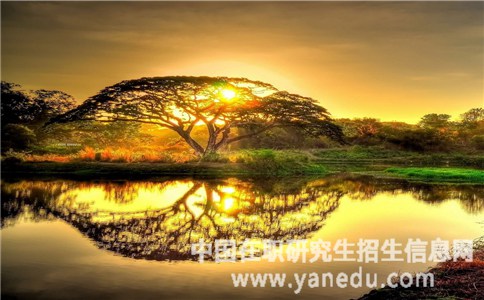 在职研究生报考条件对专科有限制吗