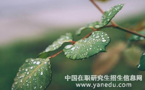 专科学历可以报考安徽师范大学在职研究生吗？