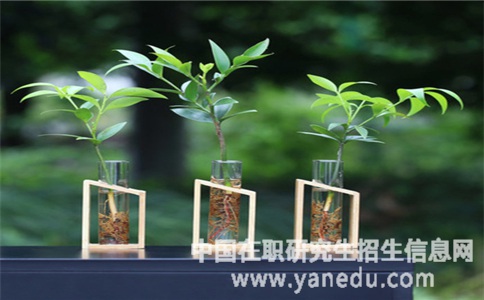 关于在职研究生入学条件详解