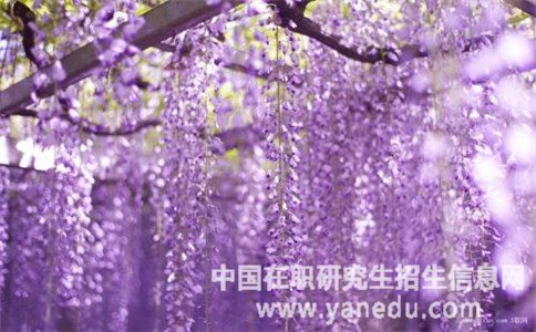 专科学历可以报考安徽财经大学在职研究生吗？