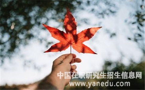 双证在职研究生报名条件有什么